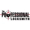 The Professional Locksmith