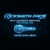 Locksmith Pros