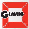 Glavin Security Specialists